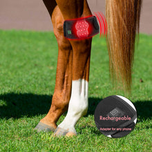 Load image into Gallery viewer, Equine-ankle-saver-hoof-wrap-light-therapy-belts