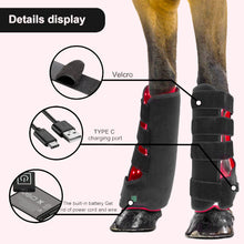 Load image into Gallery viewer, Horse-Leg-Physiotherapy-devices