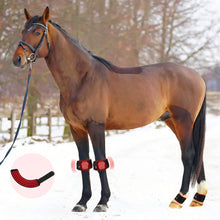 Load image into Gallery viewer, Horse-Photonic-Red-light-Therapy-Hoof
