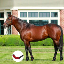 Load image into Gallery viewer, Horse-ankle-saver-hoof-wear-light-therapy-wrap