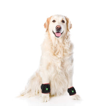 Load image into Gallery viewer, New-Arrival-Red-Light-Therapy-Belt-For-Animals-Joints-Pain-Relief-660nm-850nm