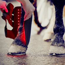 Load image into Gallery viewer, Red-Light-Infrared-Pet-Sport-Wound-Recovery-Horse-Leg