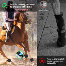Load image into Gallery viewer, Wear-Medical-Equine-LED-Light-Therapy-Pads-for-Injury-Faster-Healing