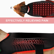 Load image into Gallery viewer, Wearable-Red-light-Therapy-Pad-for-dog-pets