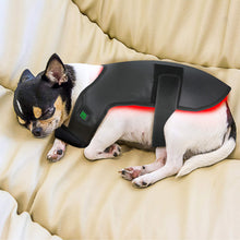 Load image into Gallery viewer, Wearable-Red-light-Therapy-wraps-for-dog-back