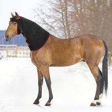 Load image into Gallery viewer, red-light-therapy-horse