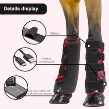 Load image into Gallery viewer, Horse-Leg-Physiotherapy-devices
